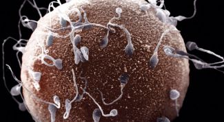 Картинка по теме - как определить бесплодие у мужчины