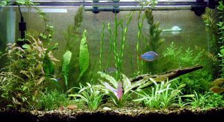 Картинка по теме - как устранить течь аквариума