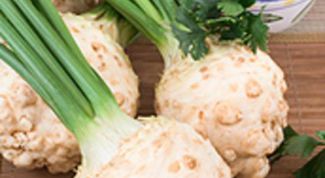 Картинка по теме - как вырастить сельдерей листовой