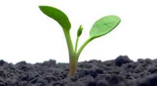 Картинка по теме - как охранять окружающую среду