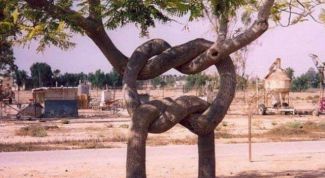 Картинка по теме - что такое синкретизм