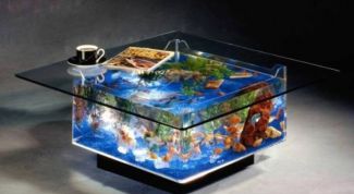 Картинка по теме - как очистить стенку аквариума