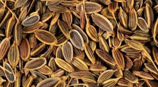 Картинка по теме - как пить укропную воду