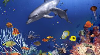 Картинка по теме - что такое биоценоз