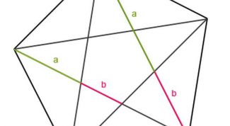 Картинка по теме - как найти золотое сечение