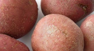 Картинка по теме - как заработать на картошке