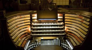 Картинка по теме - что такое орган