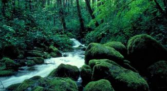 Картинка по теме - что такое нейтрализм