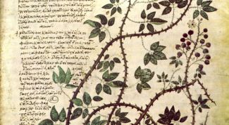 Картинка по теме - что такое литота