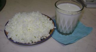 Картинка по теме - как хранить тибетский молочный гриб