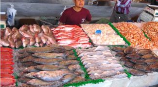 Картинка по теме - как открыть магазин рыбы