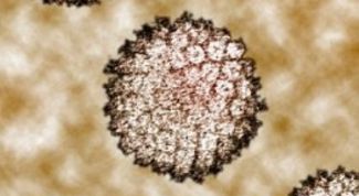 Картинка по теме - как избавиться от висячей бородавки