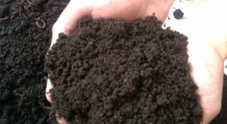 Картинка по теме - как измерить кислотность почвы