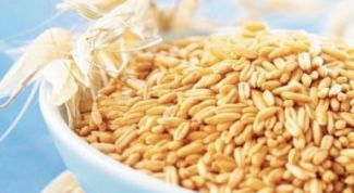 Картинка по теме - как пить заваренный овес