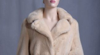 Картинка по теме - как почистить норковый воротник