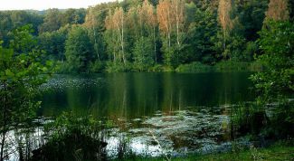 Картинка по теме - как сходить в поход