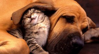 Картинка по теме - как полюбить врага