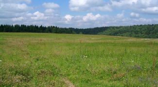 Картинка по теме - как принять к учету земельный участок