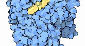 Картинка по теме - как понизить амилазу