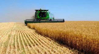 Картинка по теме - что такое рента