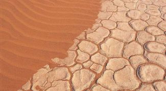 Картинка по теме - как защитить почву от ветра