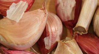 Картинка по теме - как отбить запах чеснока