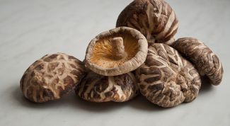 Картинка по теме - как готовить грибы шиитаке - рецепт