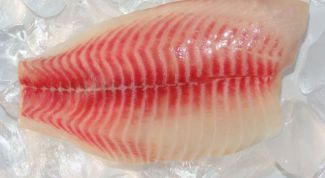 Картинка по теме - как приготовить рыбу тилапию
