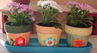 Картинка по теме - как оставить цветы в отпуск