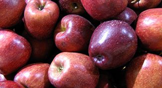 Картинка по теме - как сохранить яблоки зимой