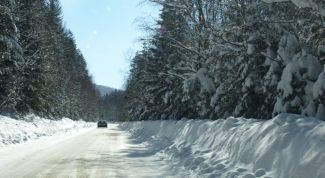 Картинка по теме - как встретить новый год на даче