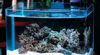 Картинка по теме - как менять воду рыбкам в аквариуме