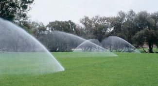 Картинка по теме - что такое ирригация