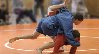 Картинка по теме - что такое самбо