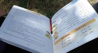 Картинка по теме - как научиться писать на арабском