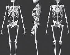 Картинка по теме - как лечить трещину ребра