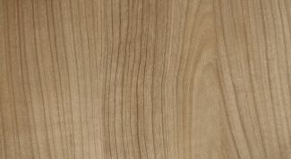 Картинка по теме - как восстановить шпон