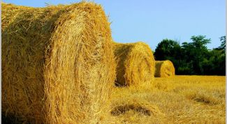 Картинка по теме - как заготавливать сено