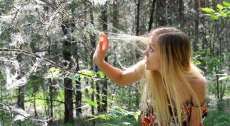 Картинка по теме - как максимально отрастить волосы за месяц