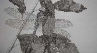 Картинка по теме - как сделать стрекозу из бумаги