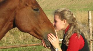 Картинка по теме - как научиться кататься на лошади