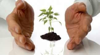 Картинка по теме - как получить грант на развитие малого бизнеса