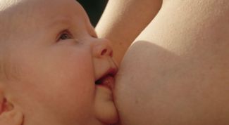 Картинка по теме - как остановить выработку молока