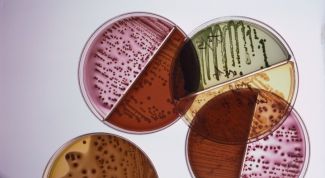 Картинка по теме - что такое гонорея