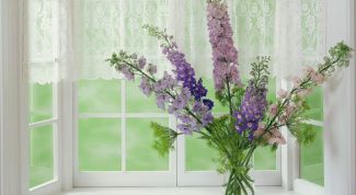 Картинка по теме - как очистить окно от краски