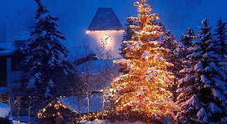 Картинка по теме - как встретить новый год в деревне