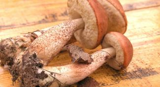 Картинка по теме - как варить суп из сухих грибов