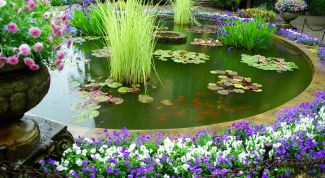 Картинка по теме - как обустроить своим руками дачный участок