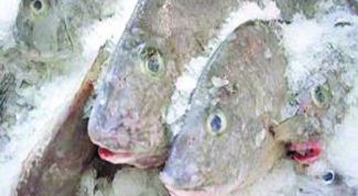 Картинка по теме - как приготовить замороженную рыбу