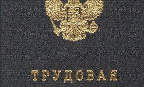 Картинка по теме - как завести новую трудовую книжку